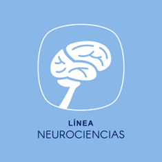 linea-neurociencias